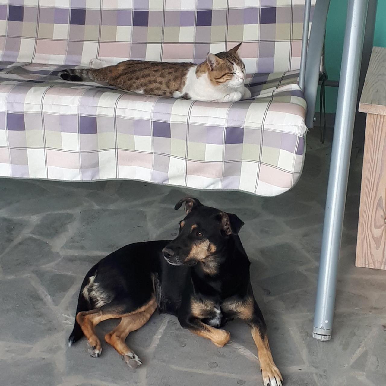 Bed & Breakfast 3 Gs Goght' 외부 사진